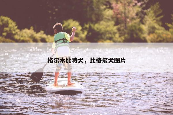 格尔木比特犬，比格尔犬图片