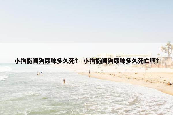 小狗能闻狗尿味多久死？ 小狗能闻狗尿味多久死亡啊？