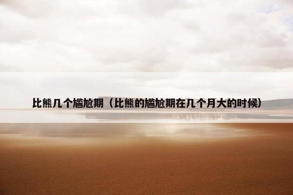 比熊几个尴尬期（比熊的尴尬期在几个月大的时候）