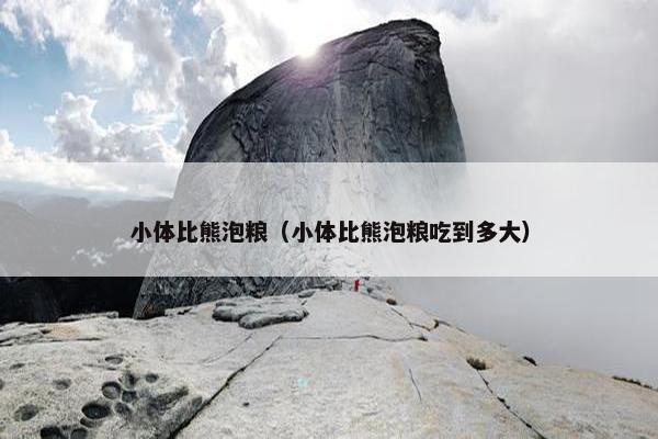小体比熊泡粮（小体比熊泡粮吃到多大）