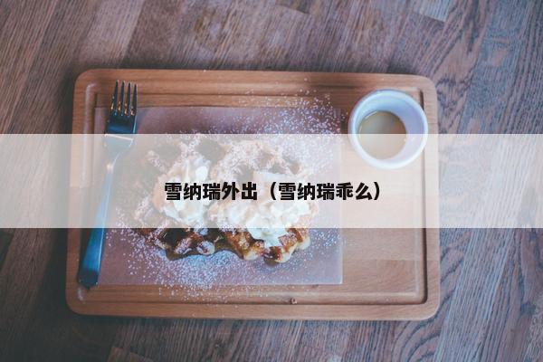 雪纳瑞外出（雪纳瑞乖么）