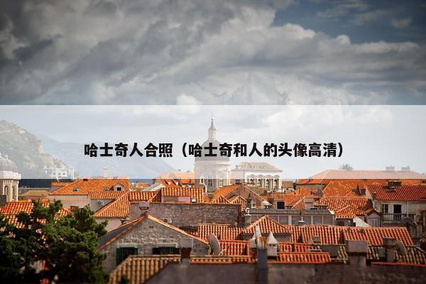 哈士奇人合照（哈士奇和人的头像高清）
