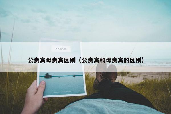 公贵宾母贵宾区别（公贵宾和母贵宾的区别）