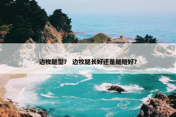 边牧腿型？ 边牧腿长好还是腿短好？