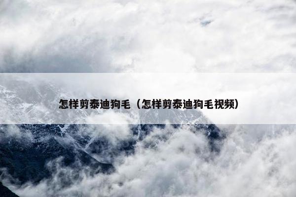 怎样剪泰迪狗毛（怎样剪泰迪狗毛视频）