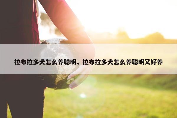 拉布拉多犬怎么养聪明，拉布拉多犬怎么养聪明又好养