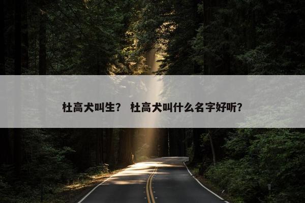 杜高犬叫生？ 杜高犬叫什么名字好听？