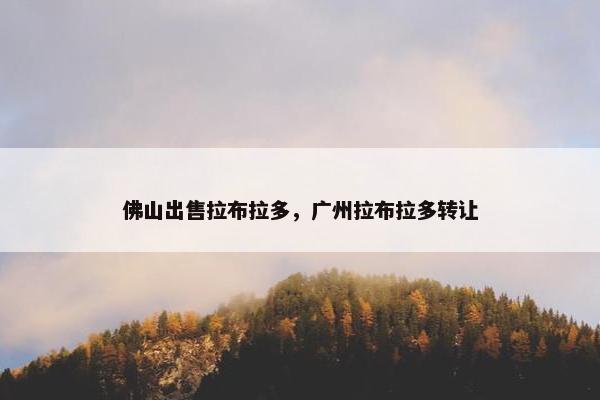 佛山出售拉布拉多，广州拉布拉多转让