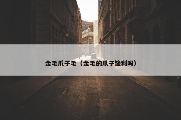 金毛爪子毛（金毛的爪子锋利吗）