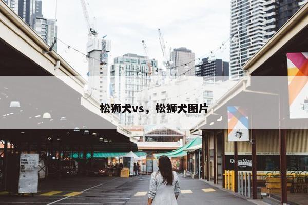 松狮犬vs，松狮犬图片