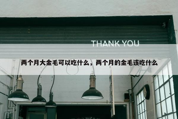金毛 第4页