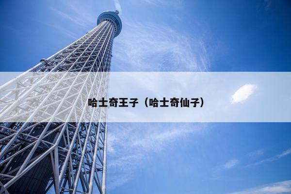 哈士奇王子（哈士奇仙子）