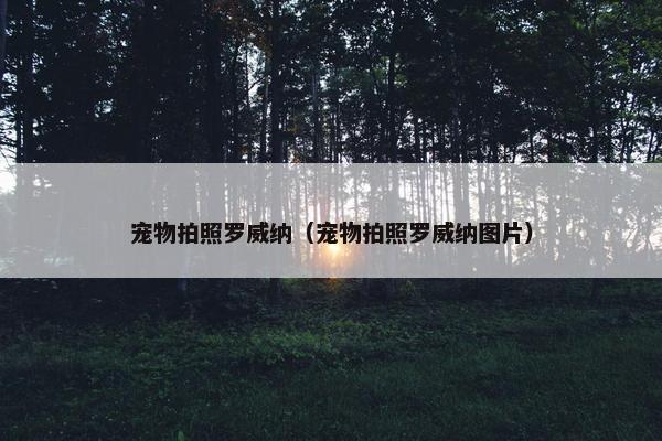 宠物拍照罗威纳（宠物拍照罗威纳图片）