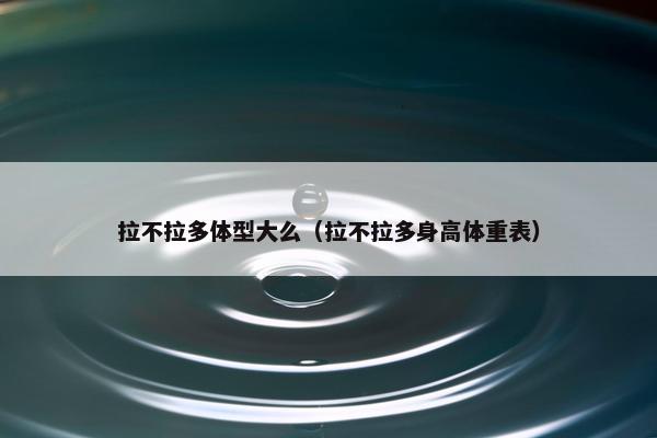 中大型