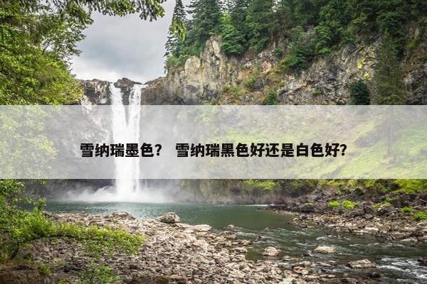 雪纳瑞墨色？ 雪纳瑞黑色好还是白色好？