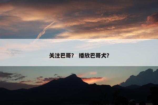关注巴哥？ 播放巴哥犬？