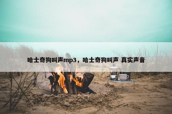 哈士奇狗叫声mp3，哈士奇狗叫声 真实声音