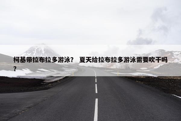 柯基带拉布拉多游泳？ 夏天给拉布拉多游泳需要吹干吗？