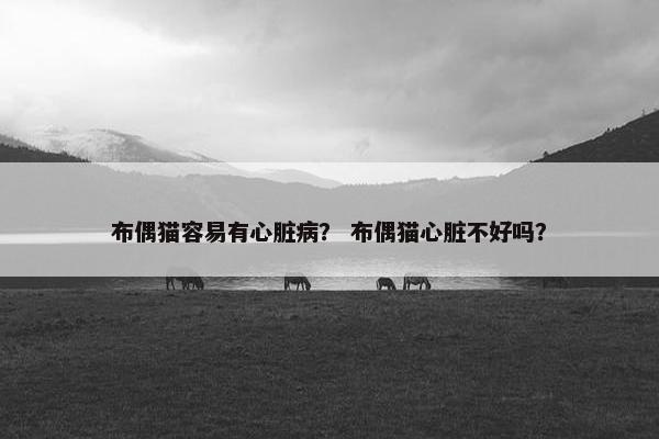 布偶猫容易有心脏病？ 布偶猫心脏不好吗？