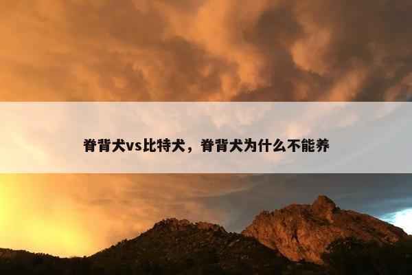 脊背犬vs比特犬，脊背犬为什么不能养