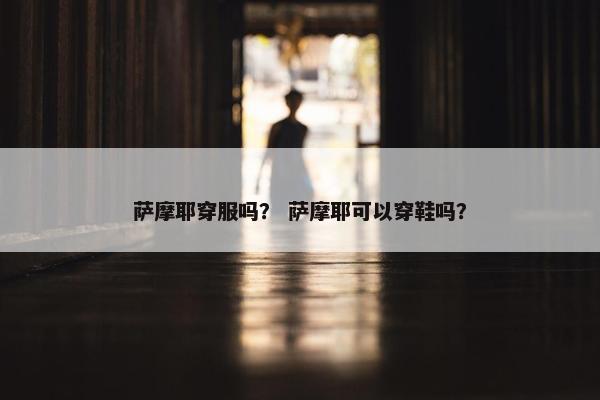 萨摩耶穿服吗？ 萨摩耶可以穿鞋吗？
