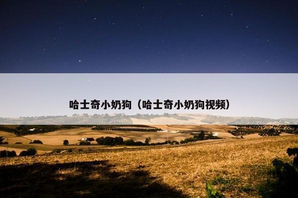 哈士奇小奶狗（哈士奇小奶狗视频）
