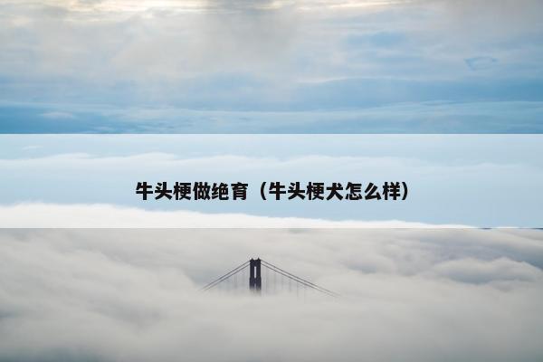 牛头梗做绝育（牛头梗犬怎么样）