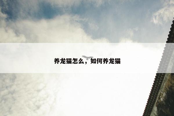 养龙猫怎么，如何养龙猫