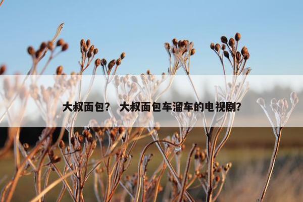 高加索 第4页