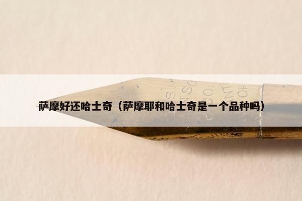 萨摩好还哈士奇（萨摩耶和哈士奇是一个品种吗）