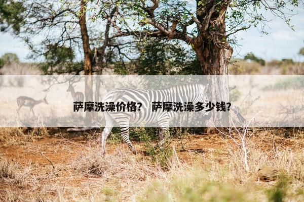 萨摩洗澡价格？ 萨摩洗澡多少钱？