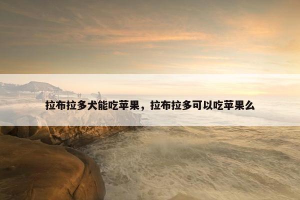 拉布拉多犬能吃苹果，拉布拉多可以吃苹果么