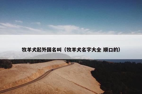 牧羊犬起外国名叫（牧羊犬名字大全 顺口的）