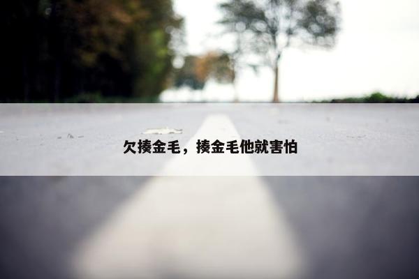 欠揍金毛，揍金毛他就害怕