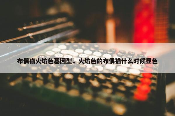 布偶猫火焰色基因型，火焰色的布偶猫什么时候显色
