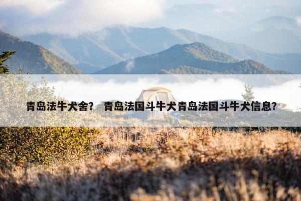 法牛 第3页