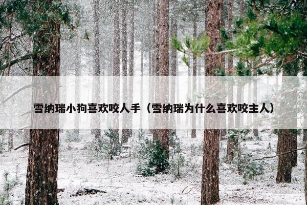 纠正