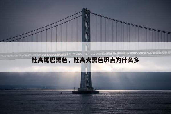 杜高尾巴黑色，杜高犬黑色斑点为什么多