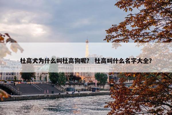 杜高犬为什么叫杜高狗呢？ 杜高叫什么名字大全？