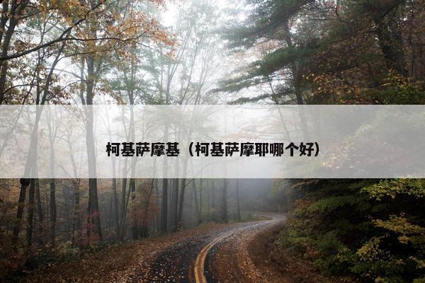 柯基萨摩基（柯基萨摩耶哪个好）
