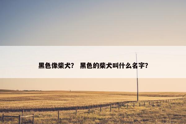 黑色像柴犬？ 黑色的柴犬叫什么名字？