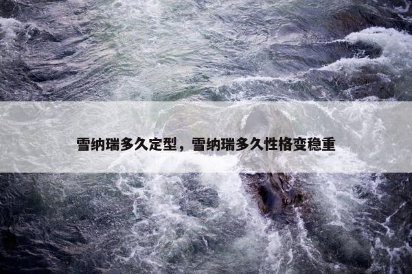 雪纳瑞多久定型，雪纳瑞多久性格变稳重