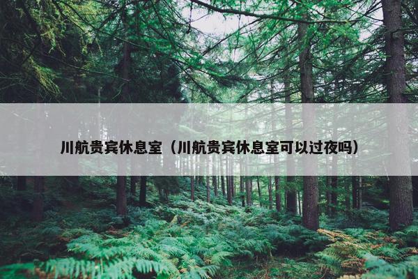 川航贵宾休息室（川航贵宾休息室可以过夜吗）