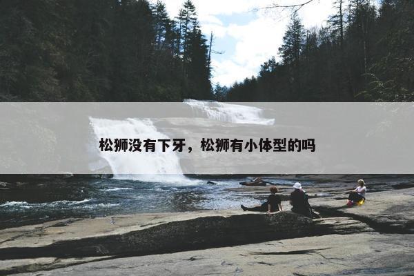 松狮没有下牙，松狮有小体型的吗