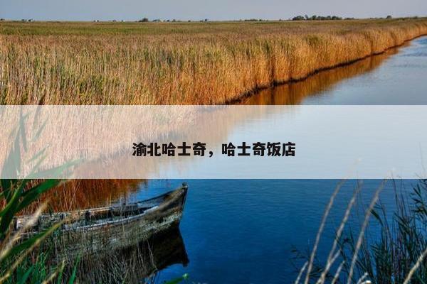 渝北哈士奇，哈士奇饭店