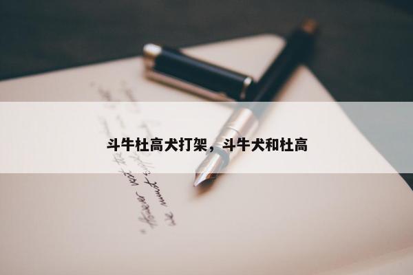 斗牛杜高犬打架，斗牛犬和杜高