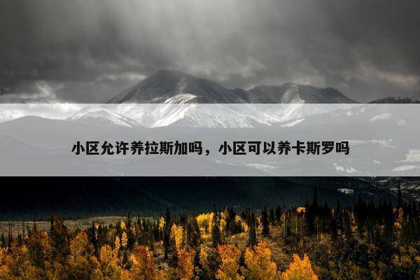 小区允许养拉斯加吗，小区可以养卡斯罗吗