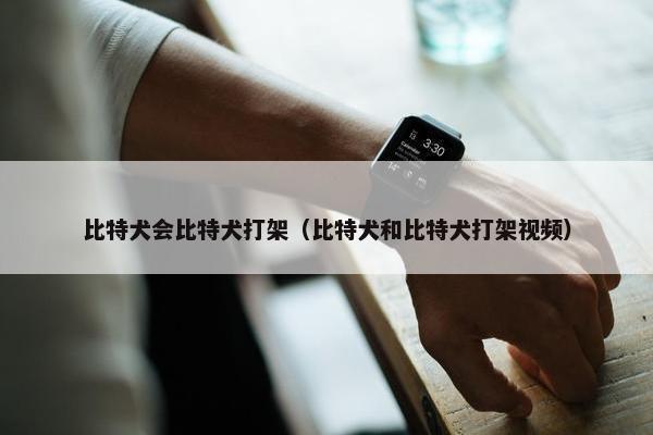 比特犬会比特犬打架（比特犬和比特犬打架视频）