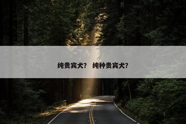 纯贵宾犬？ 纯种贵宾犬？