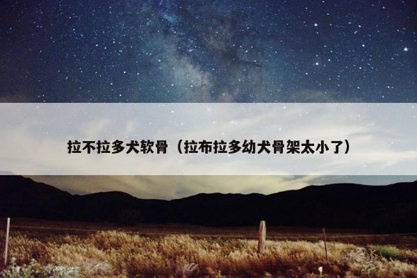 拉不拉多犬软骨（拉布拉多幼犬骨架太小了）